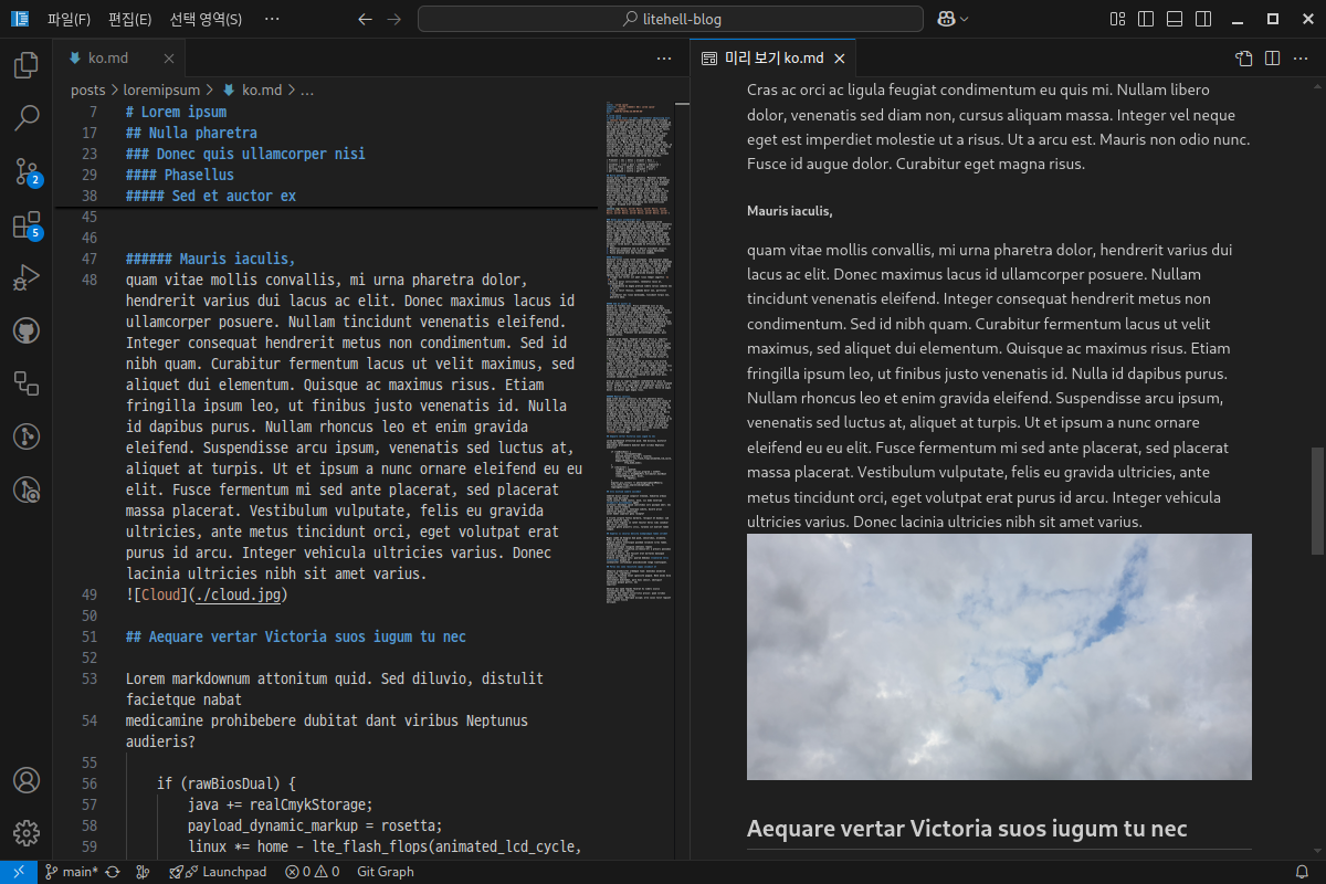 VSCode에 마크다운 미리보기에 이미지가 보이는 모습